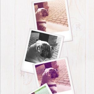 Meet your Posher, Anne